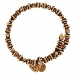 Alex and Ani Silver beaded wrap bracelet